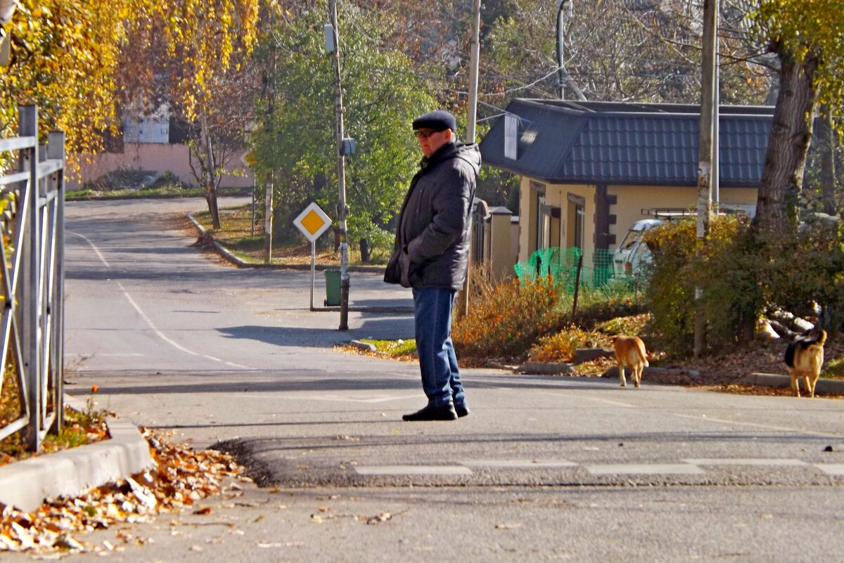 Осенний  выгул... - Евгений 