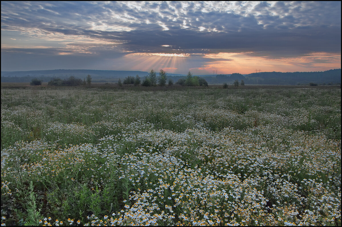 Рассвет - vedin 