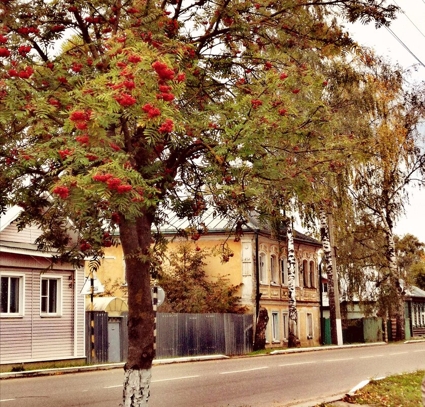 Осень - Наталья Шабалина 