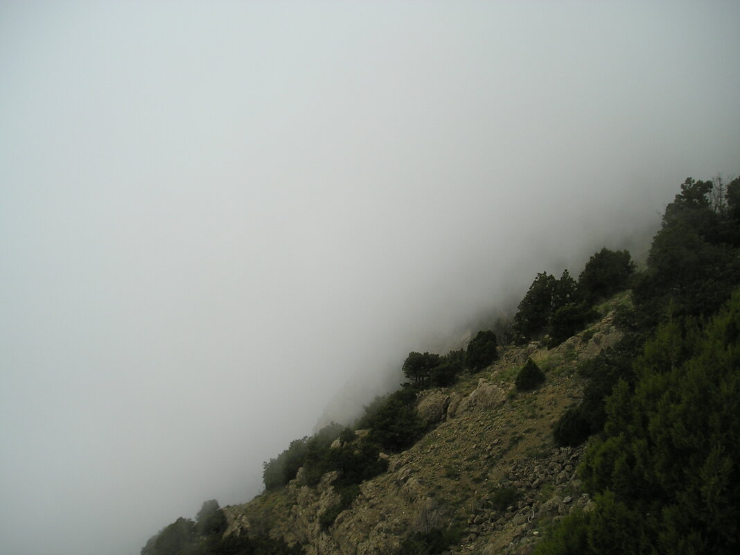 Туман - Giant Tao /