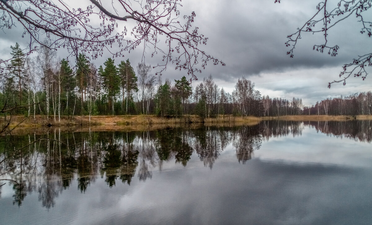 Вечером на озере - Андрей Дворников