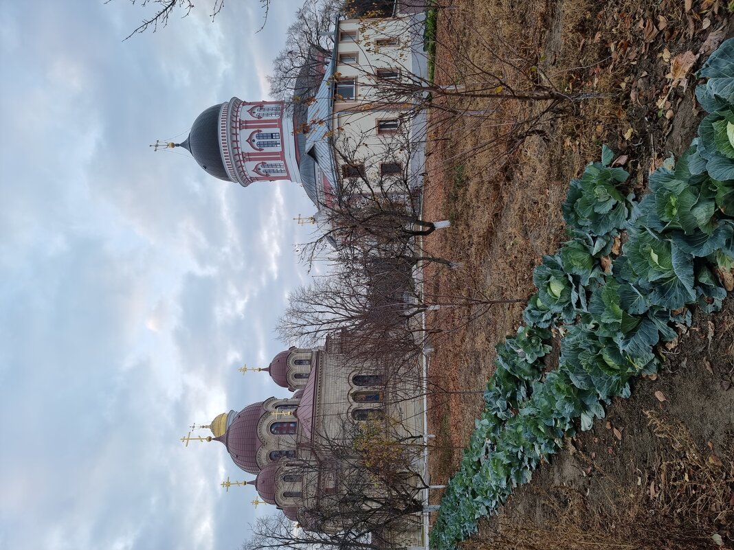 Тирасполь - Светлана Светлая