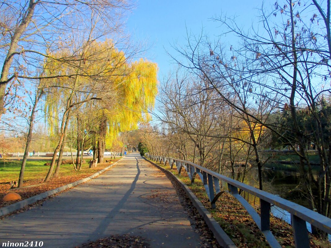 В ростовском зоопарке - Нина Бутко