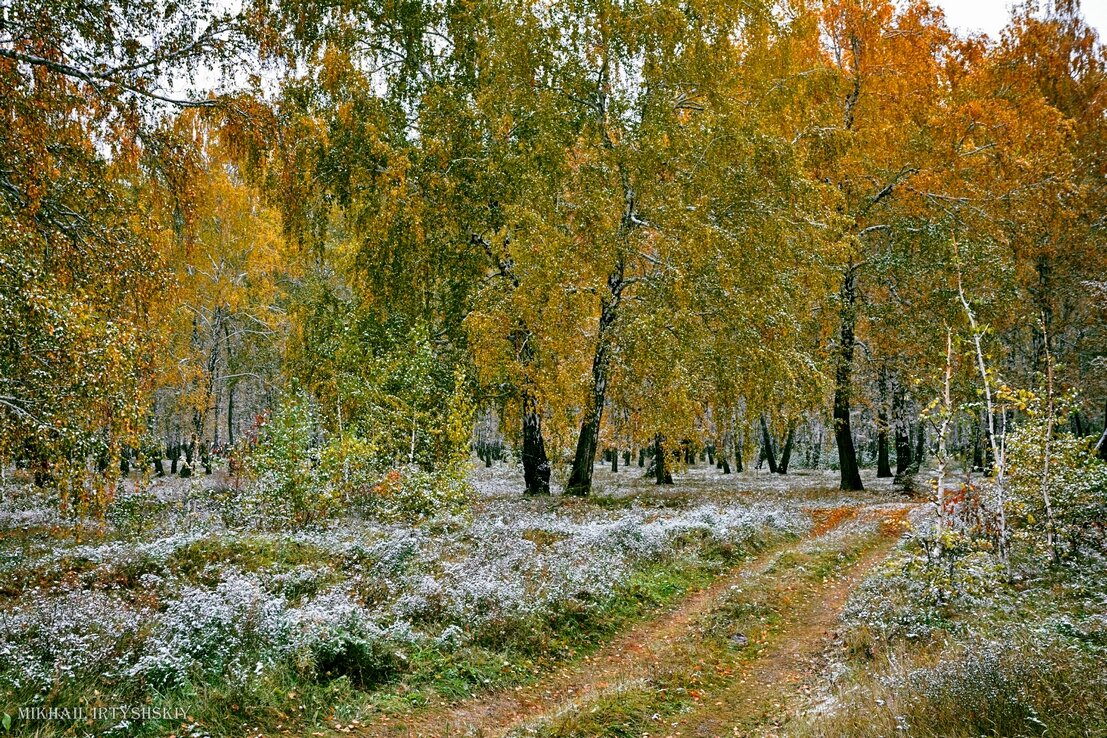 Октябрь со снежком - Mikhail Irtyshskiy