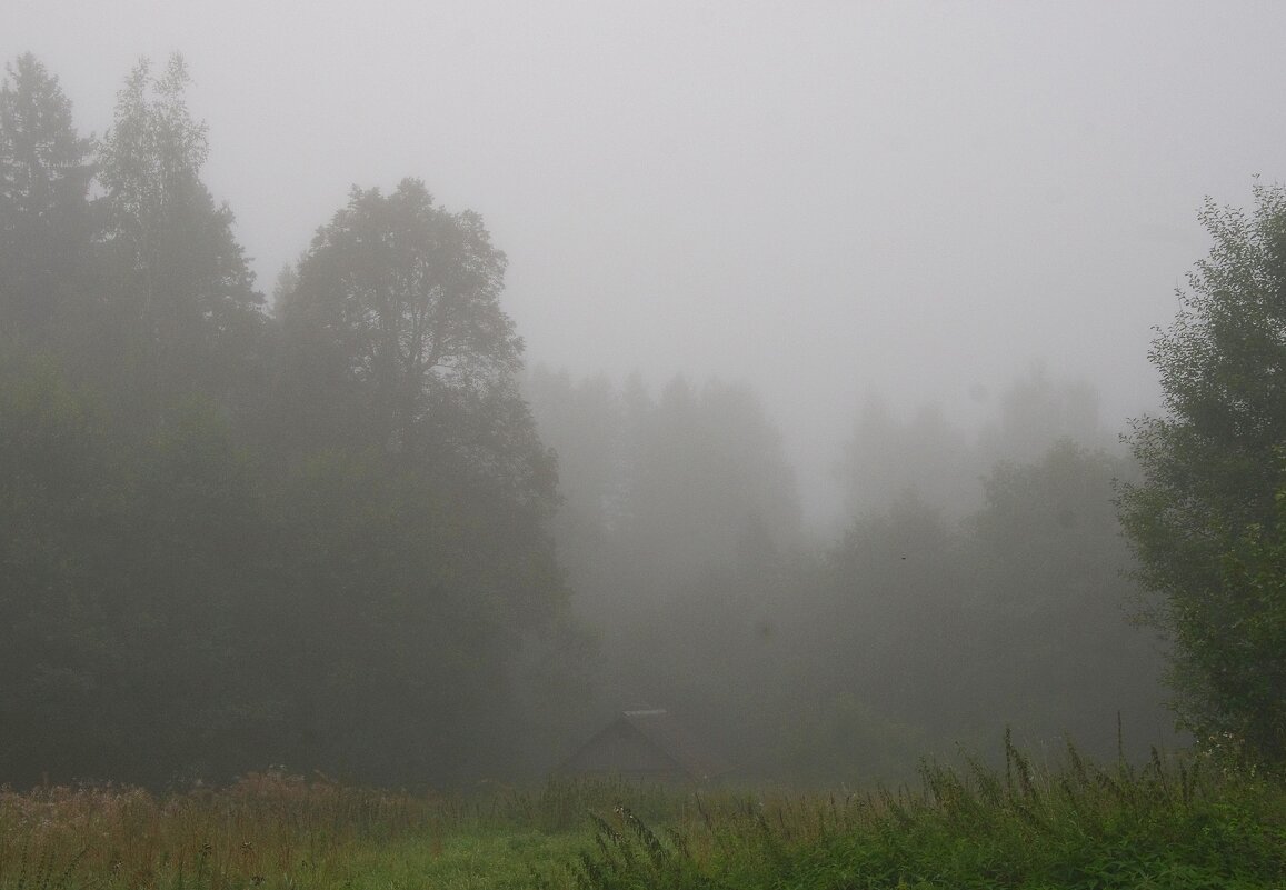 Август...туман... - Юрий Куликов