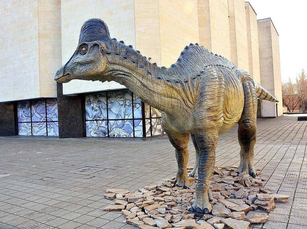 Амурозавр - Ольга (crim41evp)