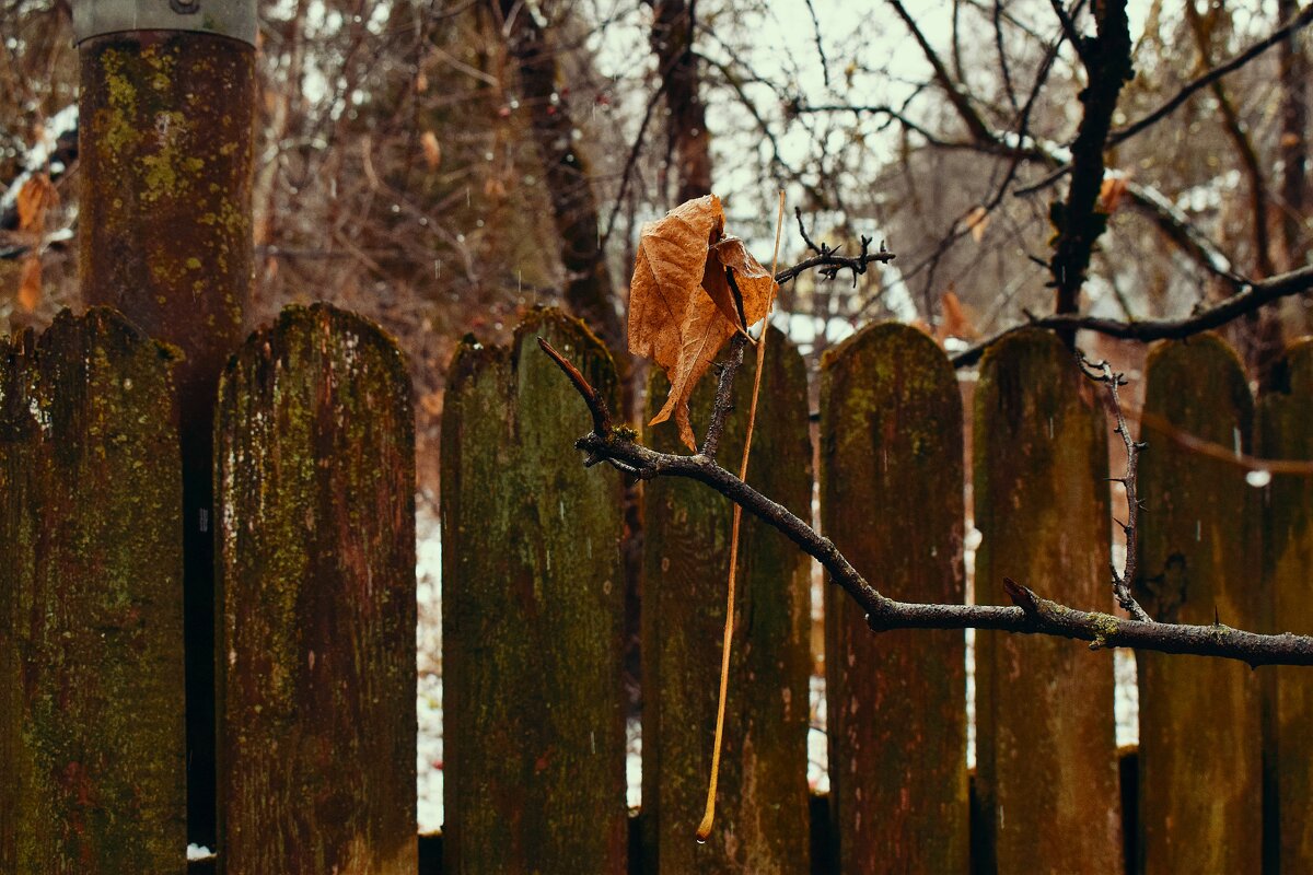 Висит на заборе, колышется ветром. - Татьяна Помогалова