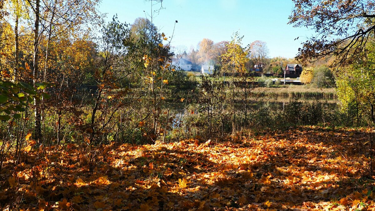 Осень в деревне (из поездок по области. - Милешкин Владимир Алексеевич 