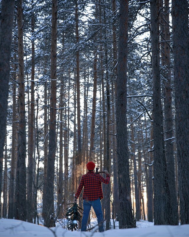 Lumberjack - Александра Кожухова