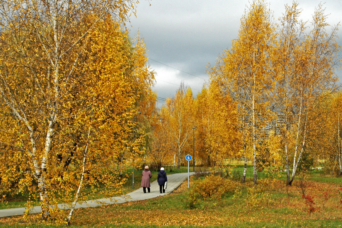 По дороге в осень. - Борис Бутцев