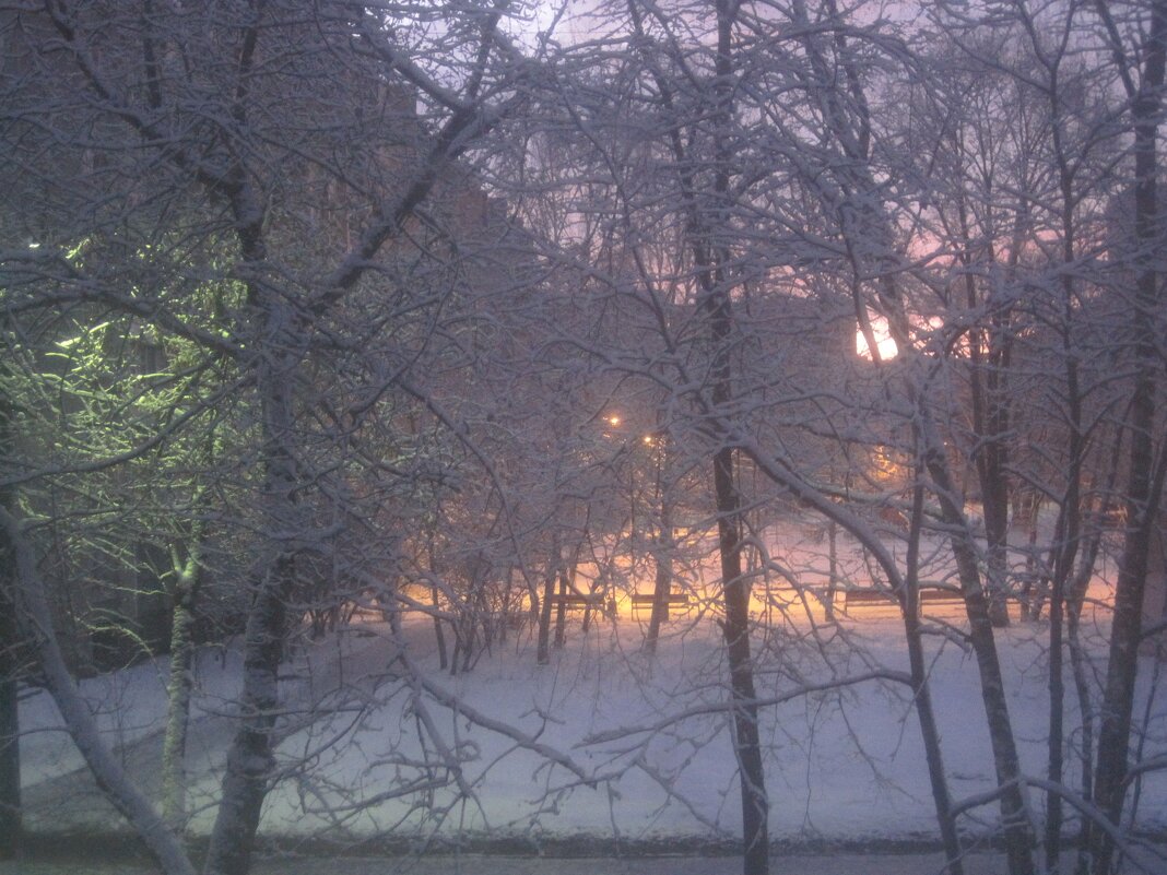 Зимним снежным утром - Елена Семигина