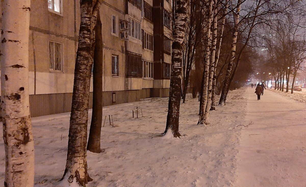 Подготовка к зиме - Наталья Герасимова
