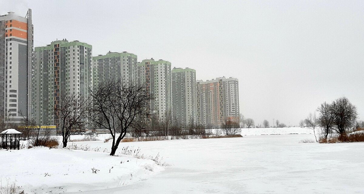 Зима в Купчино - Наталья Герасимова