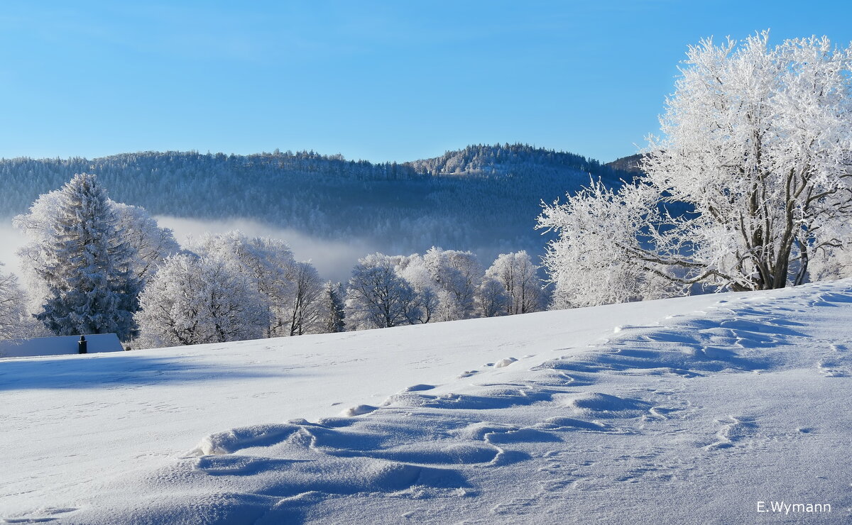 winter view - Elena Wymann