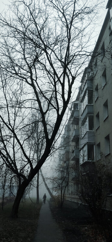 Осень - Дмитрий Близнюченко