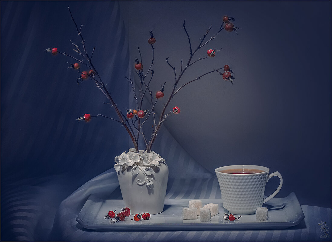 чай с шиповником - Svetlana Galvez