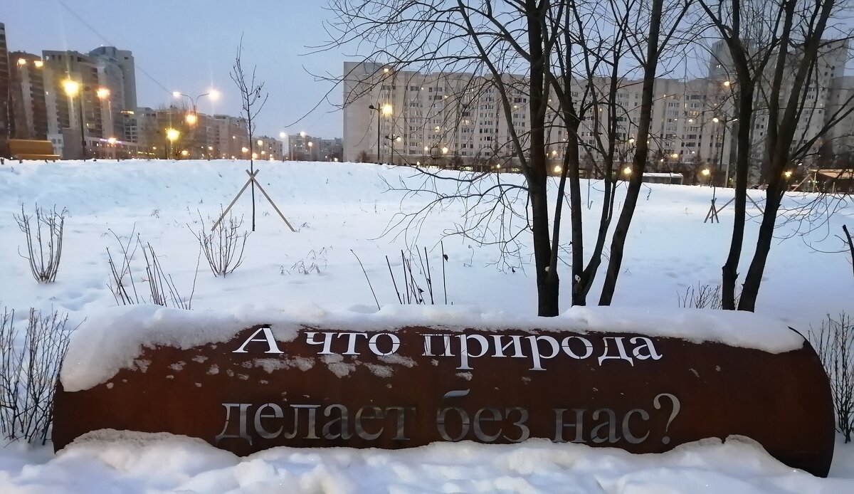 В Сквере Зимой в Санкт-Петербурге - Митя Дмитрий Митя