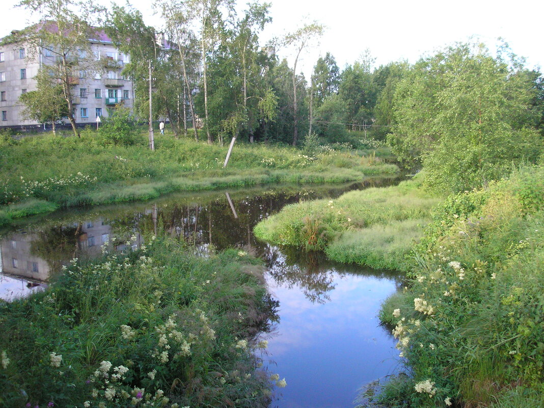 Речка, бегущая через центр города - Юрий Шевляков