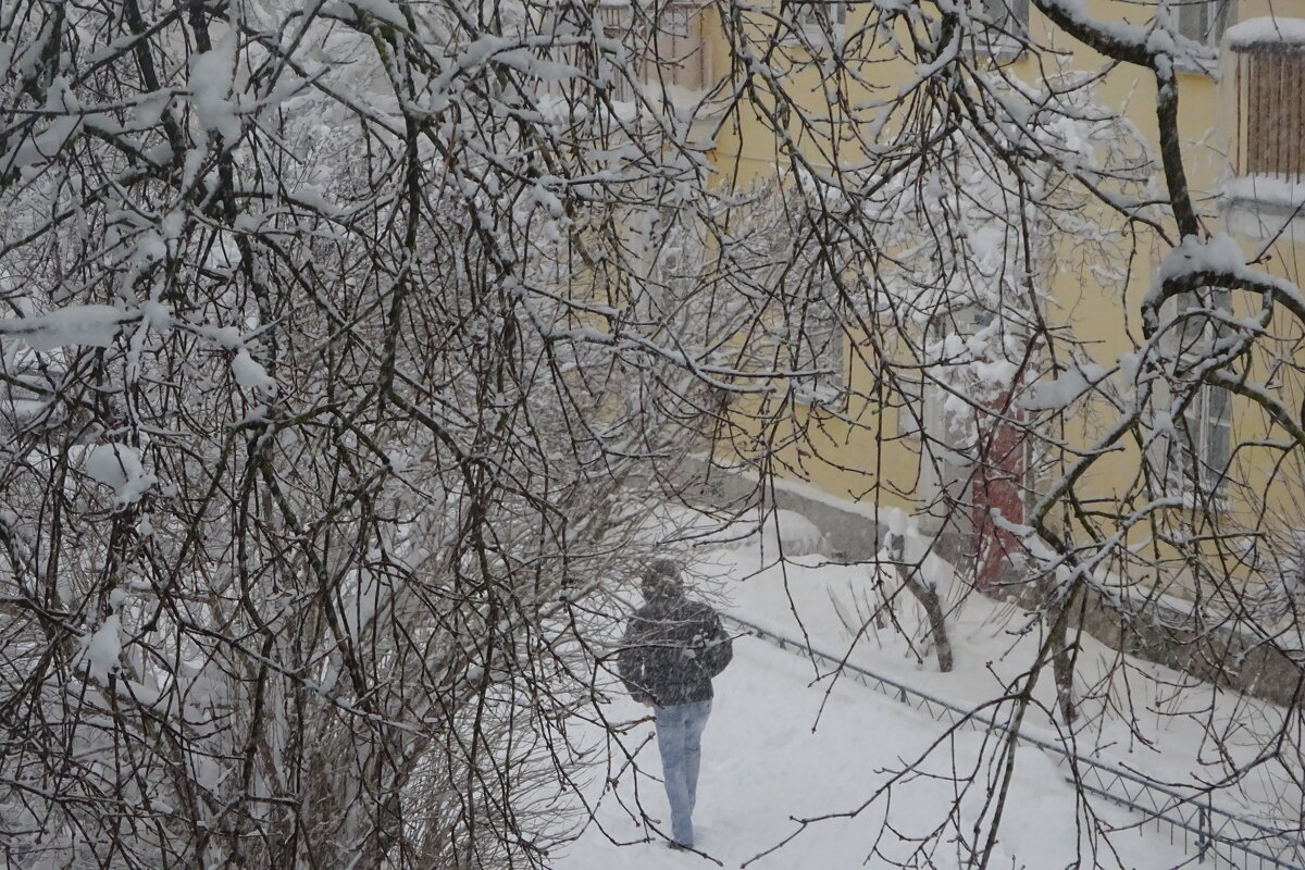 Снегопад - Татьяна 