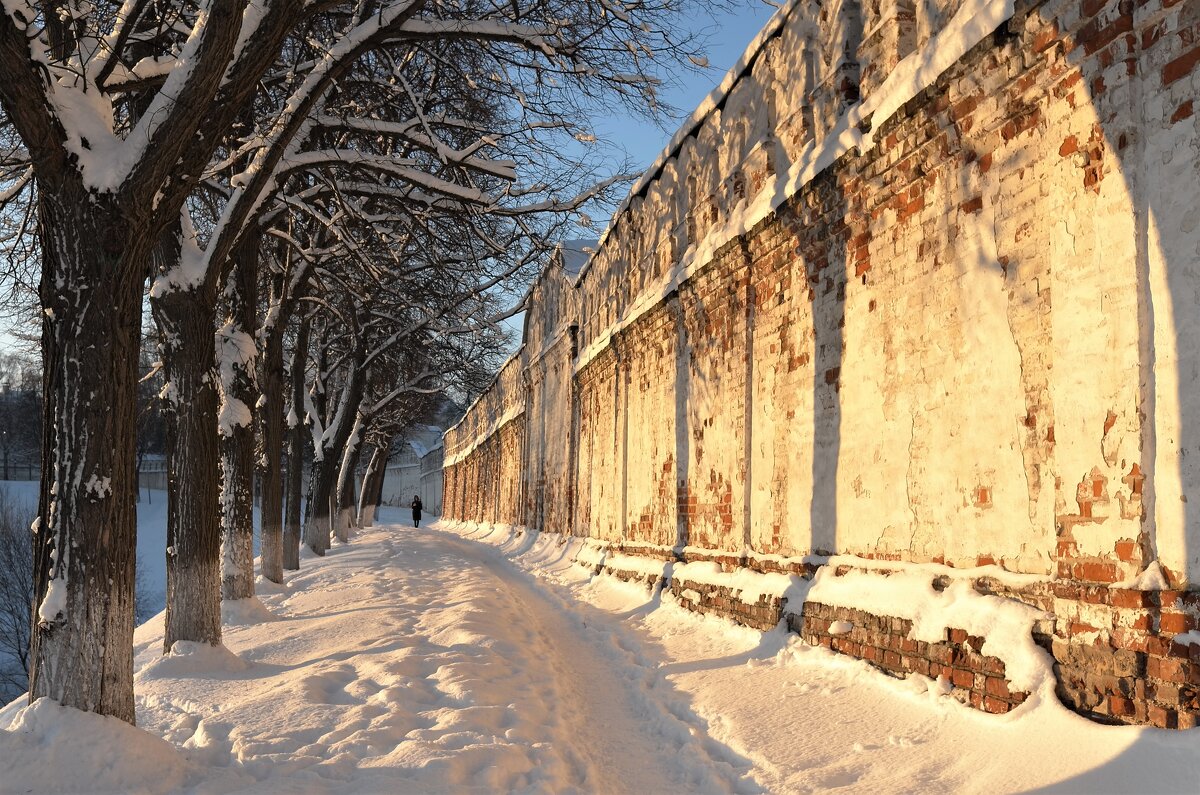 Стены монастыря - Андрей Зайцев