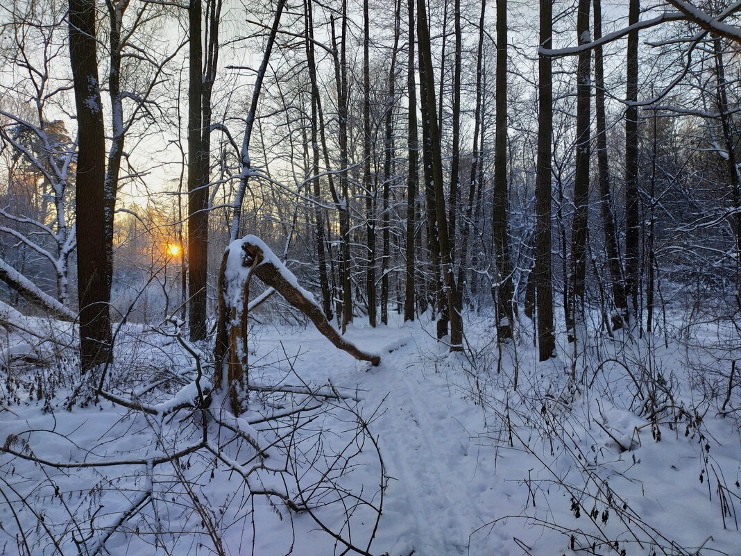 Вот, и пришла настоящая зима - Андрей Лукьянов