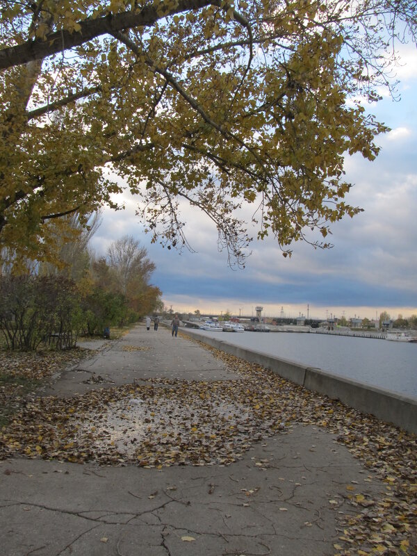 осень в городе - Елена Шаламова