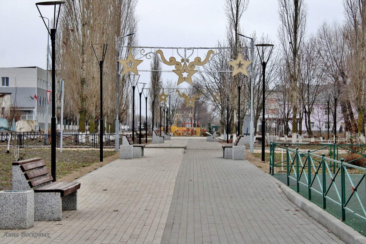 Аллея в сквере у  моего дома. - Восковых Анна Васильевна 