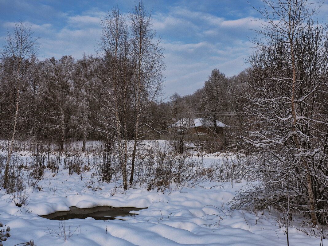 Снег выпал только в декабре - Мила Раменская (Забота)