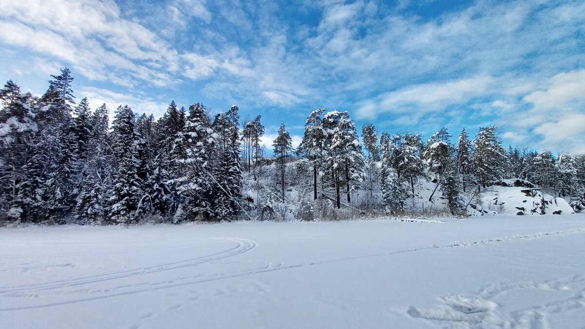 Природа Швеции лесное озеро - wea *