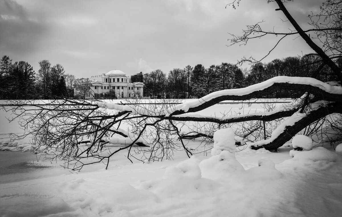 Елагин дворец зимой - Магомед .