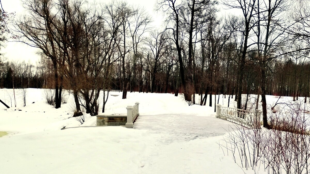В пасмурный зимний день у Ламских прудов - 2 - Сергей 