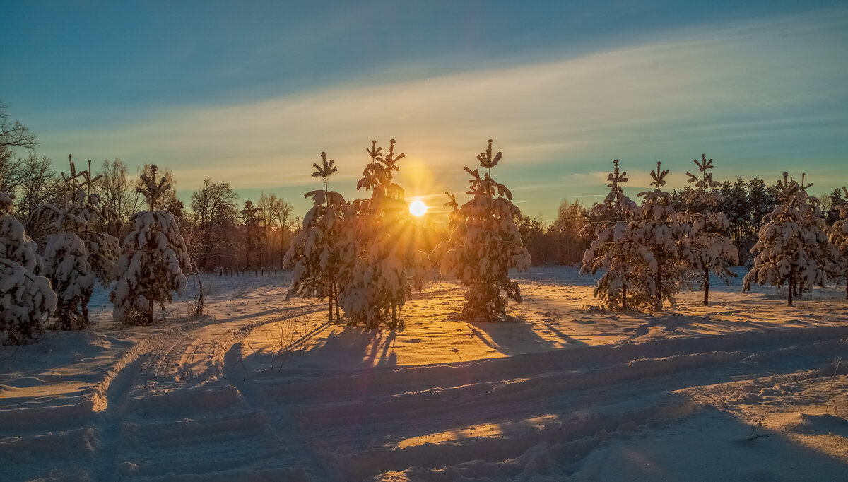 Декабрь, солнце и мороз 10 - Андрей Дворников