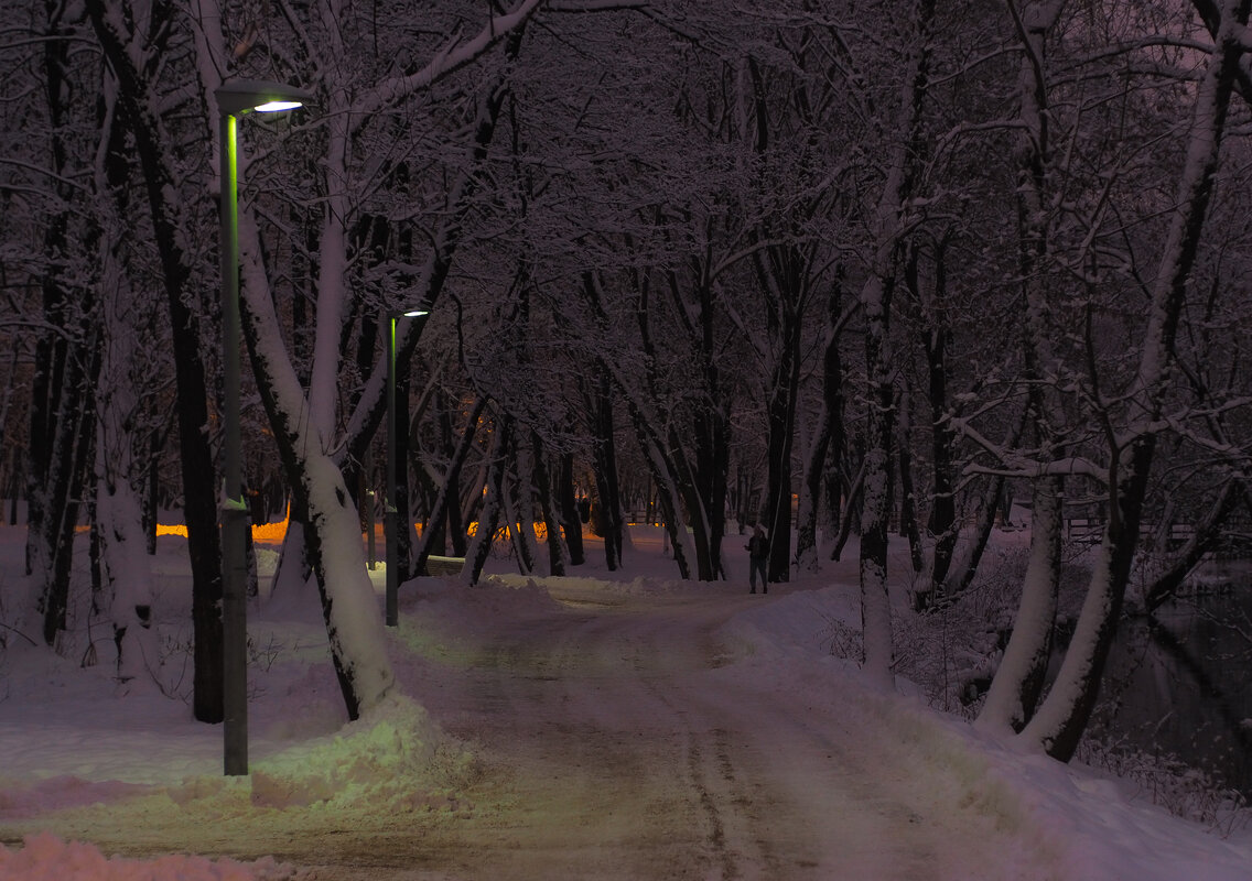 Зимний Вечер - юрий поляков