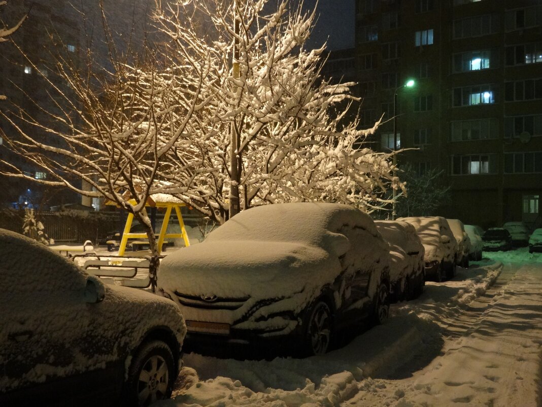 Завтра наступает астрономическая зима... - azer Zade 