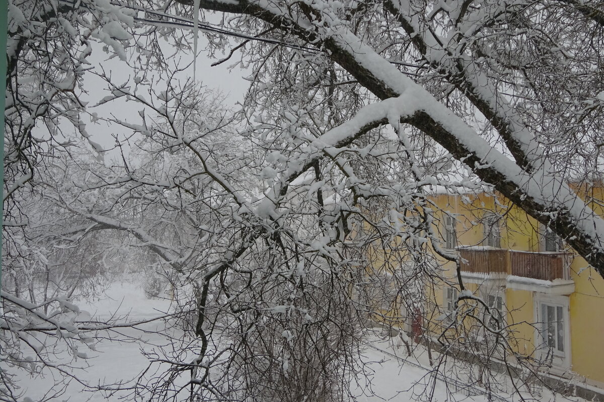 Снег в городе - Татьяна 