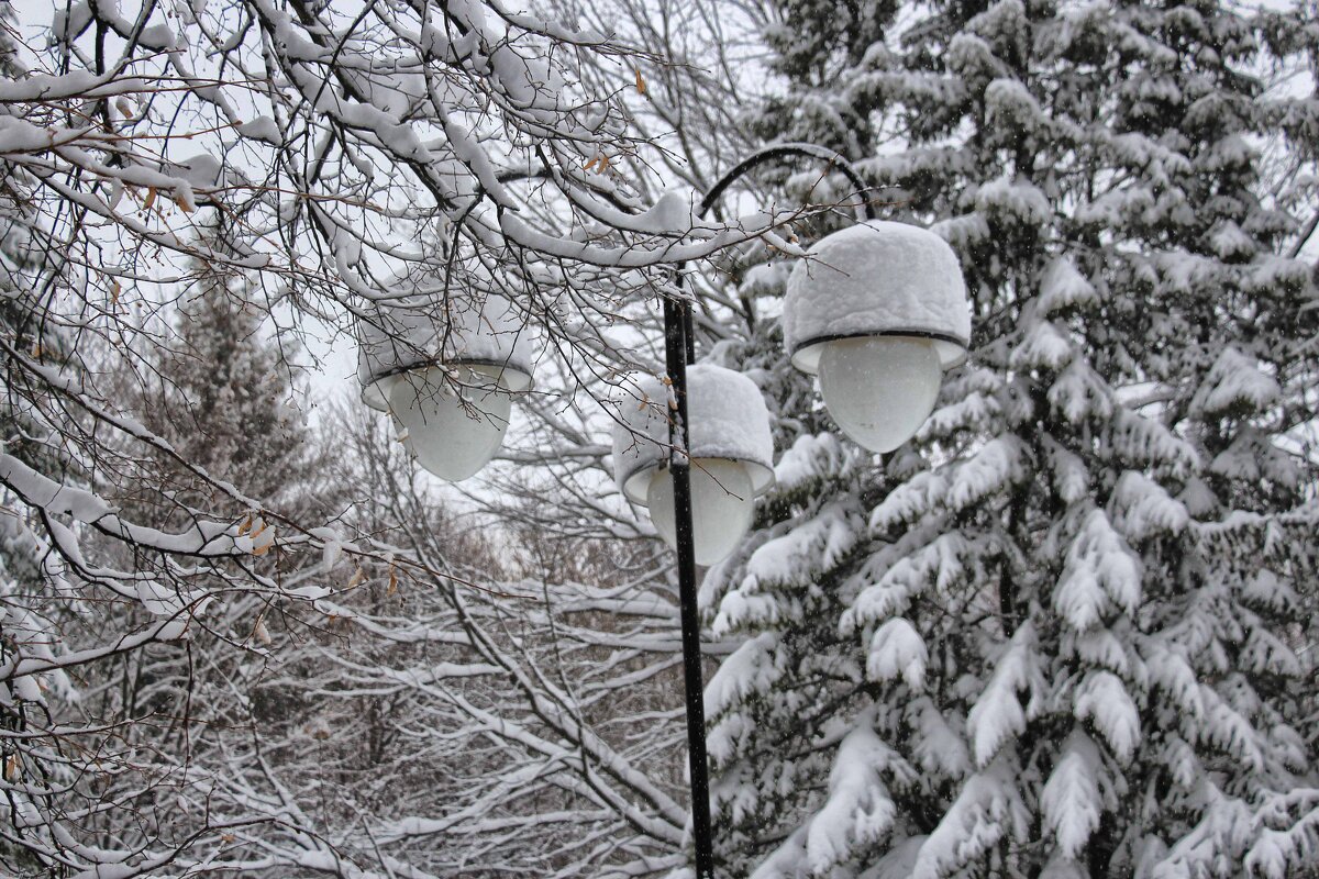 В снежных шапках фонари - Nina Karyuk