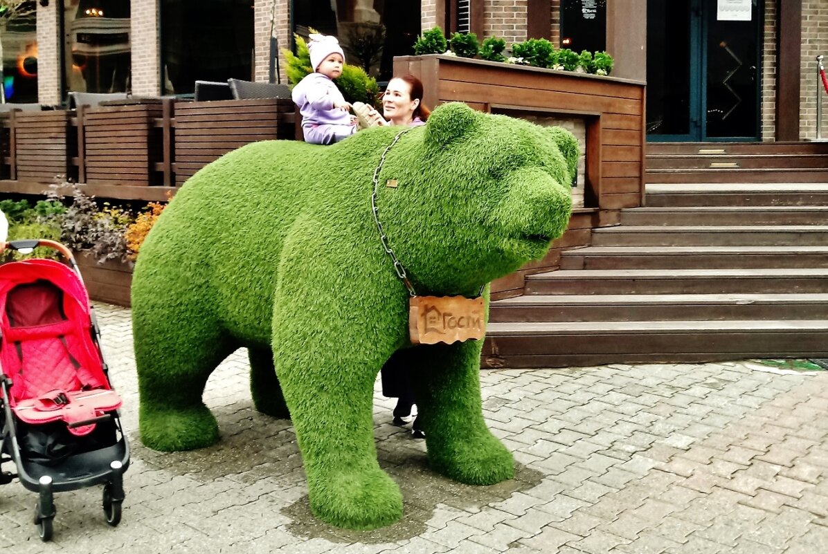 Зеленый медведь в Красной поляне - Елена (ЛенаРа)