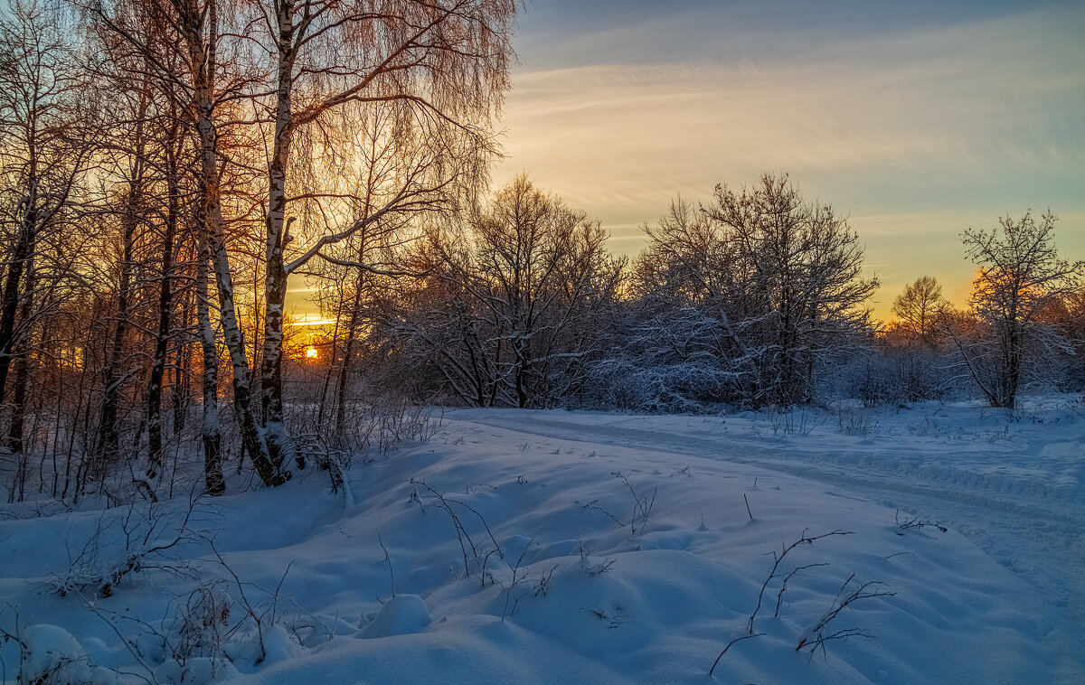 Декабрь, солнце и мороз 15 - Андрей Дворников