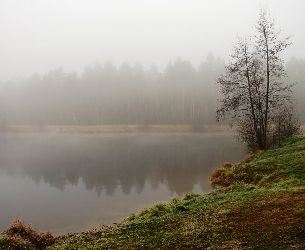 Осенний туман - Андрей Снегерёв