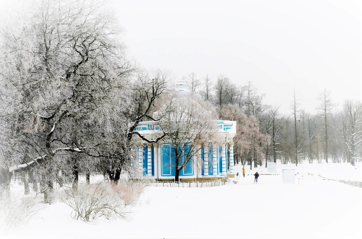 На зимнем берегу Большого пруда... - Sergey Gordoff