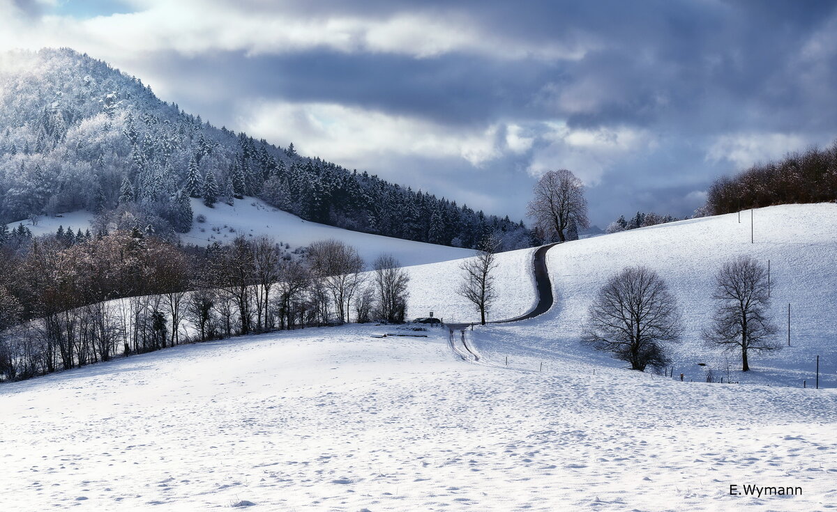 winter view - Elena Wymann