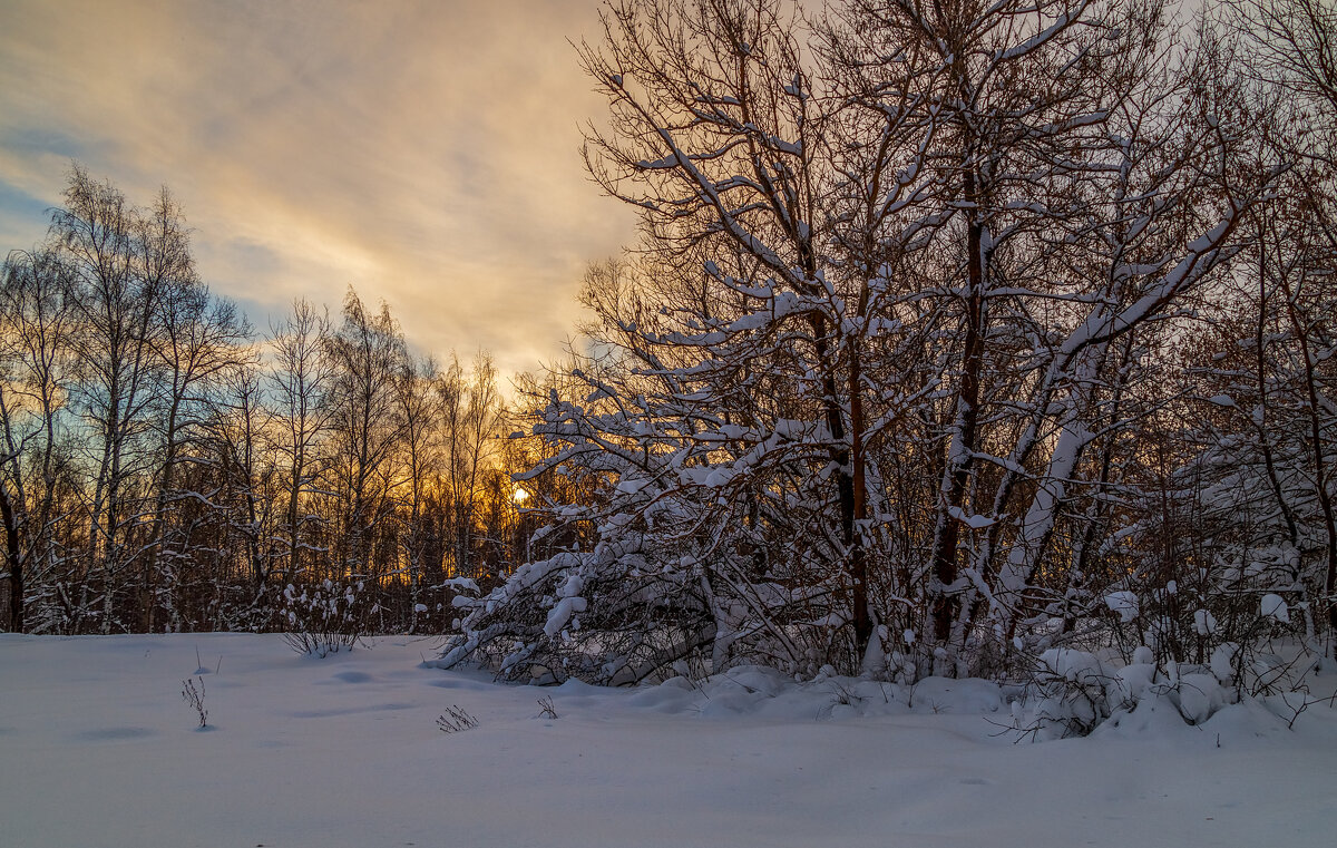 Морозное декабрьское утро 02 - Андрей Дворников