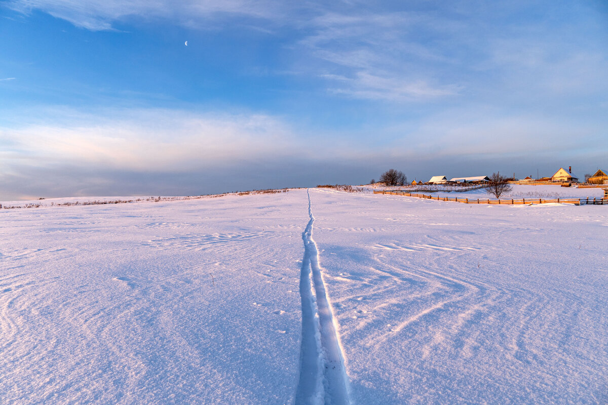 Лыжня и поле в утреннем свете - Алексей Сметкин