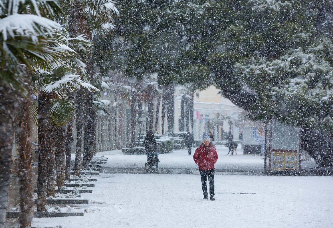 Снег в Ялте - Сергей Титов