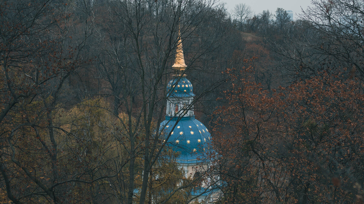 Выдубицкий монастырь - Олег 