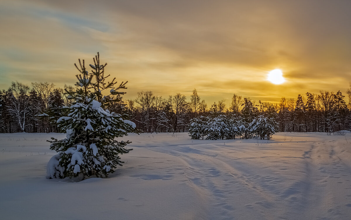 Морозное декабрьское утро 04 - Андрей Дворников