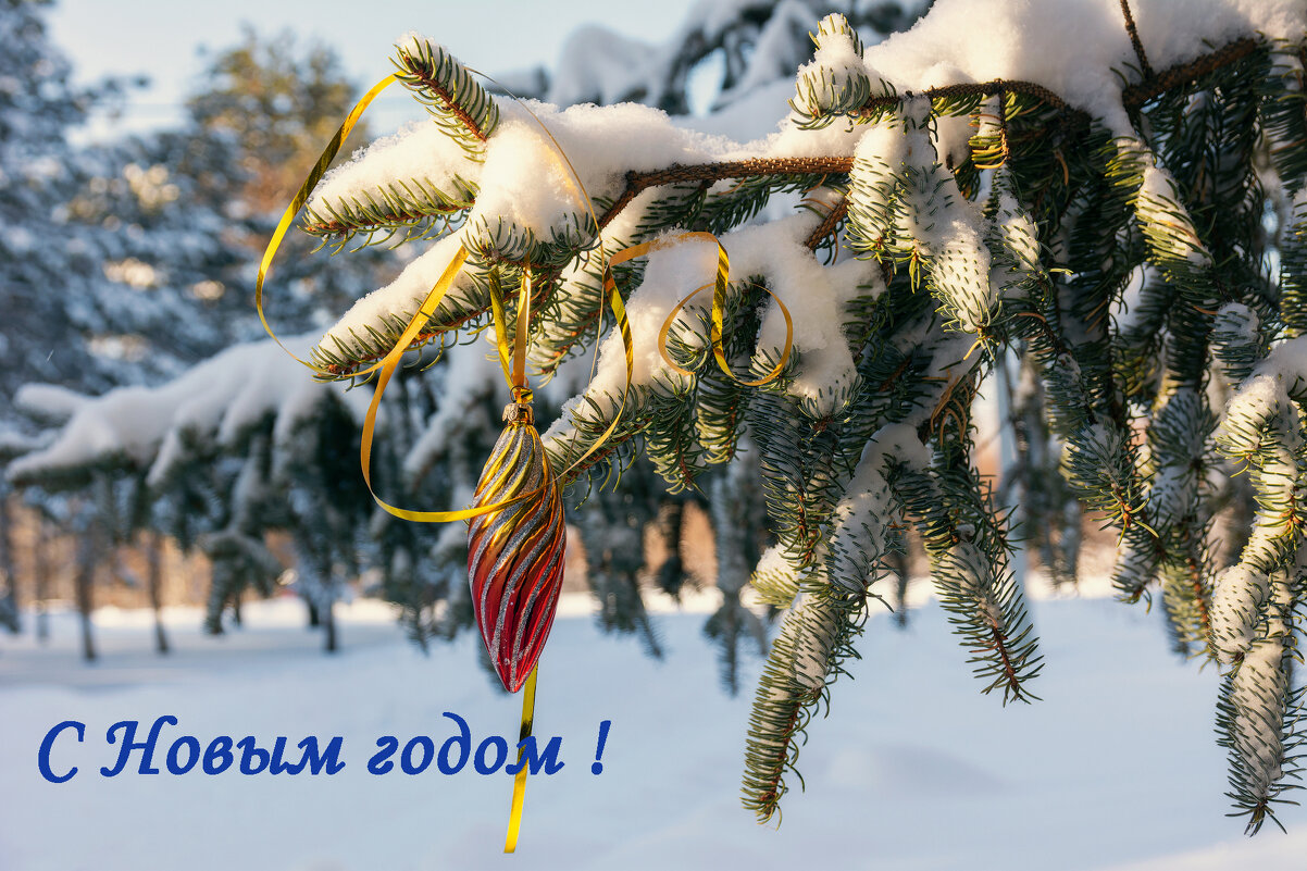 Урааа, к нам пришел Новый год! - Виктор Иванович Чернюк