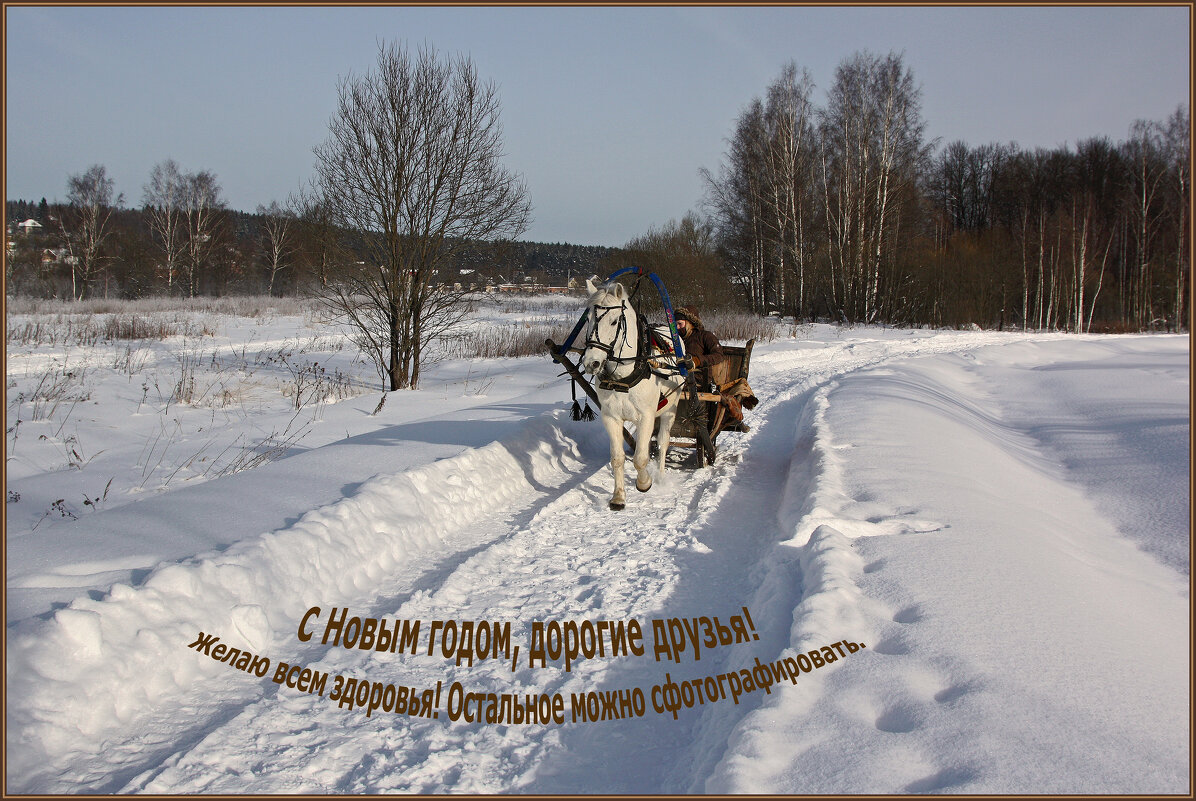 С Новым годом! - Анна Скляренко