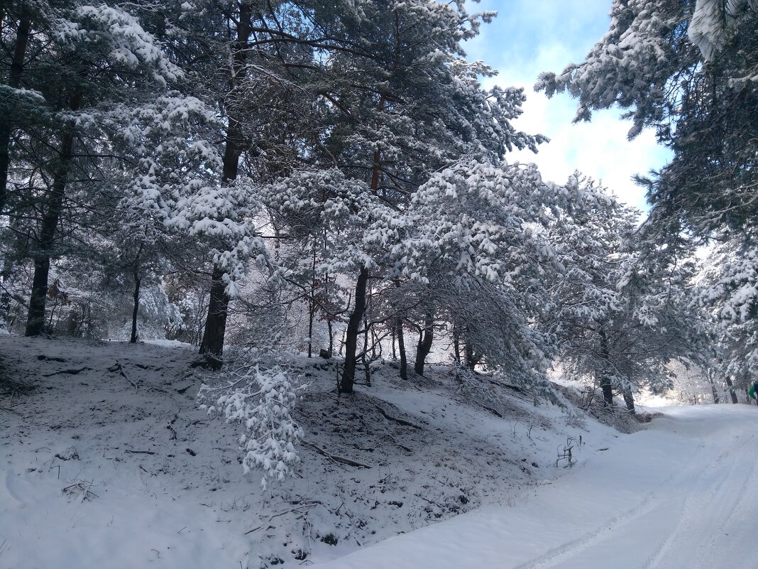 Зима - Марьяна 