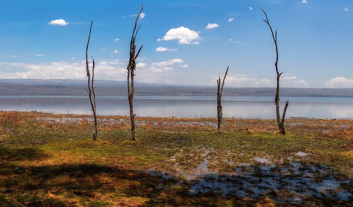 Озеро Найваша (Lake Naivasha)... Кения! - Александр Вивчарик